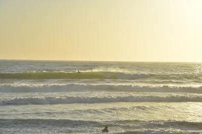 DSC_7249 (Large).JPG